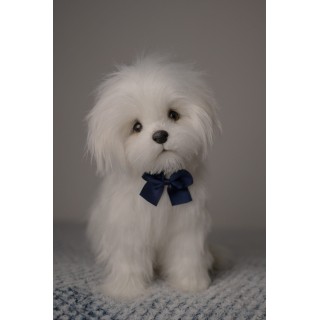 Bichon Maltez Ricky toy