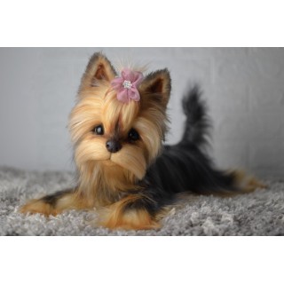 Puppy Lily Yorkies plush dog