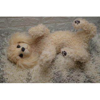 poodle Apricot realistic toy dog