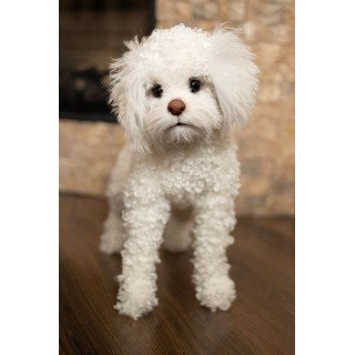 replica of a poodle puppy