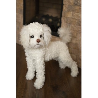 replica of a poodle puppy