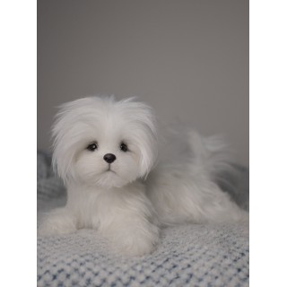 Bichon Maltez Lili realistic toy