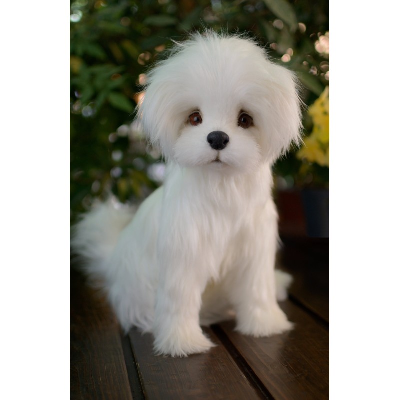 Bichon Maltez Kelly realistic toy