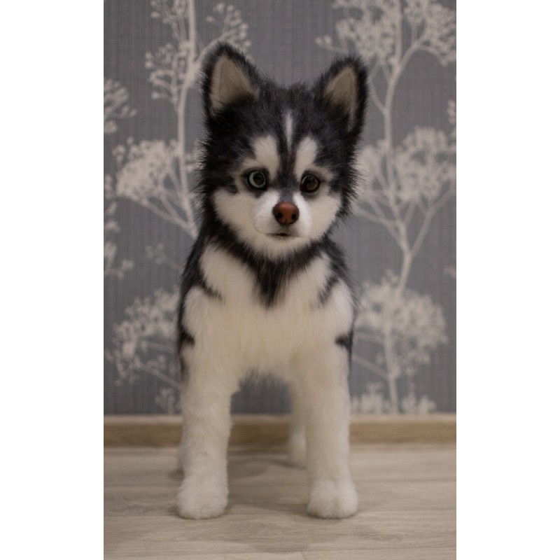 Husky Casper realistic toy