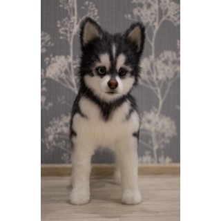 Husky Casper realistic toy