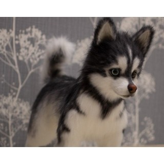 Husky Casper realistic toy