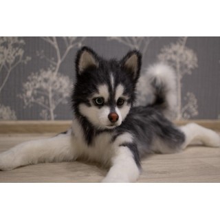 Husky Casper realistic toy