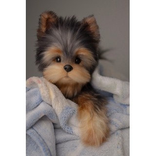 little York plush dog