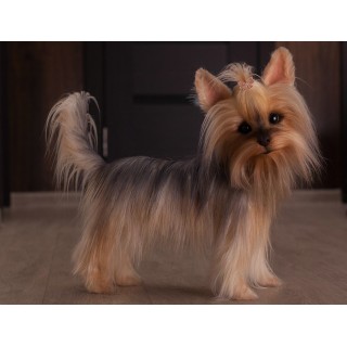 Puppy Lily Yorkies Replica